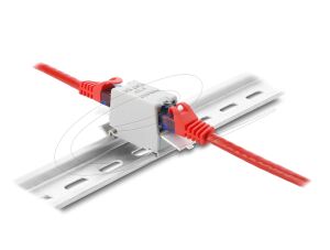 DELOCK RJ45 Kupplung Cat.6a BU > BU für Hutschienen Montage geschirmt grau