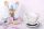 Soehnle Scale Culina Pro 5kg white (65054)