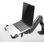 InLine Notebook-Halterung bis 17" mit VESA 75/100 Montageplatte