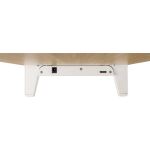 InLine Monitor Podest+ mit 2x USB und QC3 Ladeports, 80mm, max. 15kg