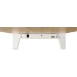 InLine Monitor Podest+ mit 2x USB und QC3 Ladeports, 80mm, max. 15kg