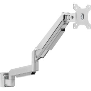 InLine Slatwall Lifter Monitorhalterung, silber