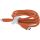 InLine USB 2.0 Kabel, USB-C Schnellladekabel 100W, Papaya/orange 1m