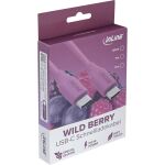 InLine USB 2.0 Kabel, USB-C Schnellladekabel 100W, Wild Berry/violett 1m