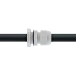 InLine Kabeldurchführung PG 7 Nylon IP68 3,5-6mm, grau, 10 Stück