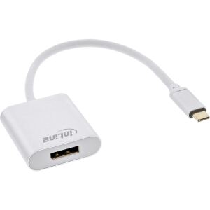 InLine USB Display Konverter, USB-C Stecker zu DisplayPort 4K/60Hz silber
