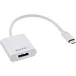 InLine USB Display Konverter, USB-C Stecker zu DisplayPort 4K/60Hz silber