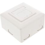 InLine Cat.6 Anschlussdose, AP/UP 2x RJ45 Buchse, RAL9010, weiß, senkrecht