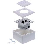 InLine Cat.6A Netzwerkdose, 2x RJ45, AP/UP, geschirmt, weiß, 76842A