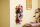 LEGO BOTANICALS 11503 Flower Wall