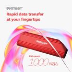 Patriot Externe Festplatte TRANSPORTER Lite - 1 TB - USB-C 3.2 Gen 2 - Rot