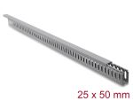 Delock Verdrahtungskanal 25 x 50 mm - Länge 1 m grau
