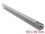 Delock Verdrahtungskanal 50 x 50 mm - Länge 1 m grau