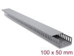 Delock Verdrahtungskanal 100 x 50 mm - Länge 1 m grau