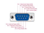 Delock Konverter Ethernet LAN RJ45 10/100 Mbps Buchse zu seriell RS-232 DB9 Stecker mit Muttern