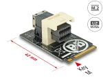 Delock Adapter M.2 Key M > SFF-8643 NVMe horizontal 2242