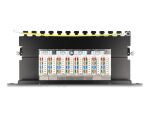 Delock 10″ Patchpanel 8 Port Cat.6A 0,5 HE schwarz