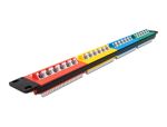 Delock 19″ Patchpanel 24 Port Cat.5e 1 HE farbig