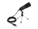 Delock Professionelles USB Kondensator Mikrofon 24 Bit / 192 kHz für PC und Notebook