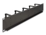 Delock 19″ Kabelmanagement Rangierpanel mit 10...