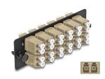 Delock LWL Adapter Panel LC Duplex OM1 / OM2 12 Port beige