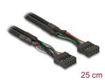 Delock Kabel USB 2.0 Pfostenbuchse 2,54 mm 10 Pin zu USB 2.0 Pfostenbuchse 2,54 mm 10 Pin 25 cm
