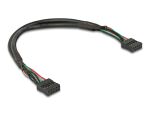 Delock Kabel USB 2.0 Pfostenbuchse 2,54 mm 10 Pin zu USB 2.0 Pfostenbuchse 2,54 mm 10 Pin 25 cm