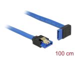 Delock Kabel SATA 6 Gb/s Buchse gerade > SATA Buchse...