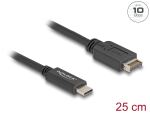 Delock USB 10 Gbps Kabel USB Typ-E Key A 20 Pin Stecker zu USB Type-C™ Stecker 25 cm