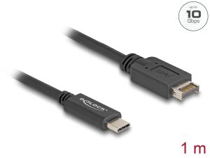 Delock USB 10 Gbps Kabel USB Typ-E Key A 20 Pin Stecker zu USB Type-C™ Stecker 1 m