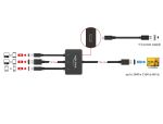 Delock USB-C™, HDMI oder mini DisplayPort zu 4K HDMI Adapterkabel 1,8 m
