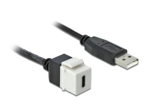 Delock Keystone Modul USB 2.0 C Buchse > USB 2.0 A Stecker mit Kabel