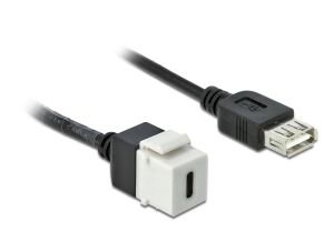Delock Keystone Modul USB 2.0 C Buchse > USB 2.0 A Buchse mit Kabel