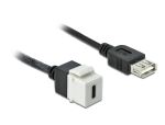 Delock Keystone Modul USB 2.0 C Buchse > USB 2.0 A Buchse mit Kabel