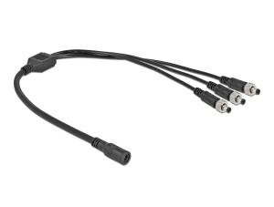 Delock DC Verteilerkabel 5,5 x 2,1 mm 1 x Buchse zu 3 x Stecker verschraubbar