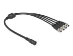 Delock DC Verteilerkabel 5,5 x 2,1 mm 1 x Buchse zu 4 x...