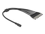 Delock DC Verteilerkabel 5,5 x 2,1 mm 1 x Buchse zu 6 x...