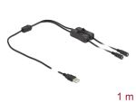 Delock Kabel USB Typ-A Stecker zu 2 x DC 5,5 x 2,1 mm Buchse mit Schalter 1 m