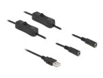Delock Kabel USB Typ-A Stecker zu 2 x DC 5,5 x 2,1 mm Buchse mit Schalter 1 m