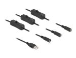 Delock Kabel USB Typ-A Stecker zu 3 x DC 5,5 x 2,1 mm Buchse mit Schalter 1 m