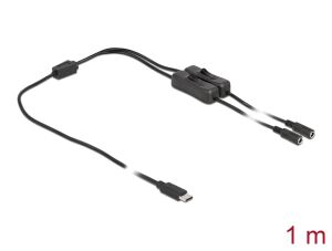 Delock Kabel USB Type-C™ Stecker zu 2 x DC 5,5 x 2,1 mm Buchse mit Schalter 1 m