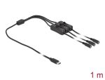 Delock Kabel USB Type-C™ Stecker zu 3 x DC 5,5 x 2,1 mm Buchse mit Schalter 1 m