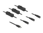 Delock Kabel USB Type-C™ Stecker zu 3 x DC 5,5 x 2,1 mm Buchse mit Schalter 1 m
