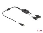 Delock Kabel USB Typ-A Stecker zu 2 x USB Typ-A Buchse mit Schalter 1 m