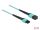 Delock LWL Kabel MPO Buchse zu MPO Buchse 12 Fasern, Polarität B, Multimode OM4, 50/125 µm, 2 m