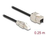 Delock Kabel RJ45 Stecker feldkonfektionierbar zu Keystone Modul RJ45 Buchse Cat.6A 25 cm
