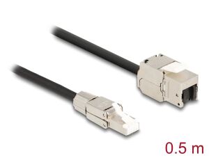 Delock Kabel RJ45 Stecker feldkonfektionierbar zu Keystone Modul RJ45 Buchse Cat.6A 50 cm