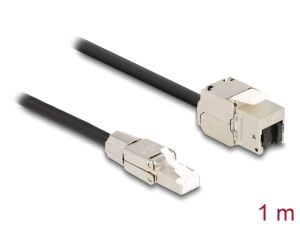 Delock Kabel RJ45 Stecker feldkonfektionierbar zu Keystone Modul RJ45 Buchse Cat.6A 1 m