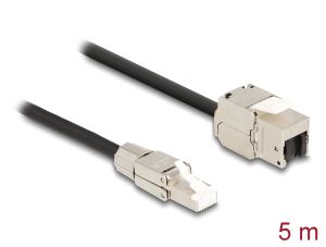 Delock Kabel RJ45 Stecker feldkonfektionierbar zu Keystone Modul RJ45 Buchse Cat.6A 5 m