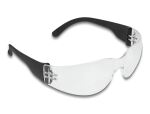 Delock Schutzbrille mit Bügel Sichtscheiben klar